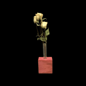 Dried flowers in a vase on black.