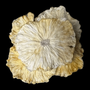 Dehydrated Pineapple Slices