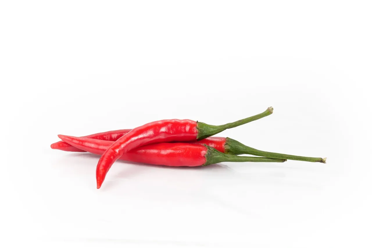 Three red chili peppers on white background