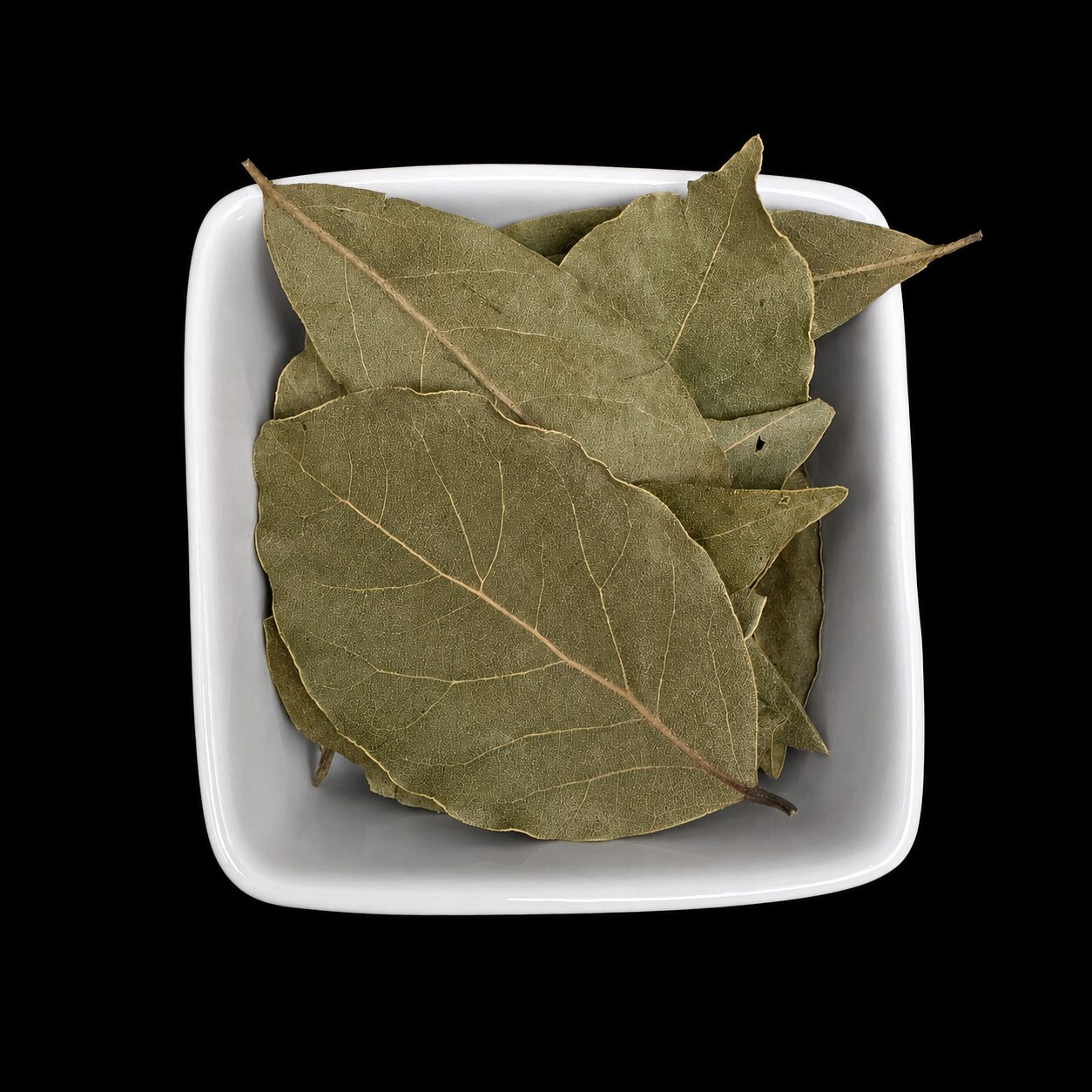 Bay Leaf